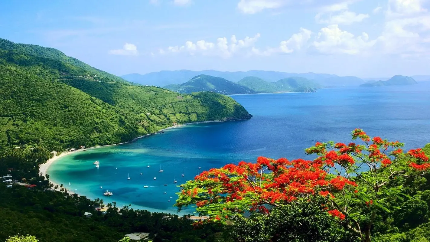节能全自动
